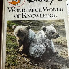Disney- Wonderful world of knowledge