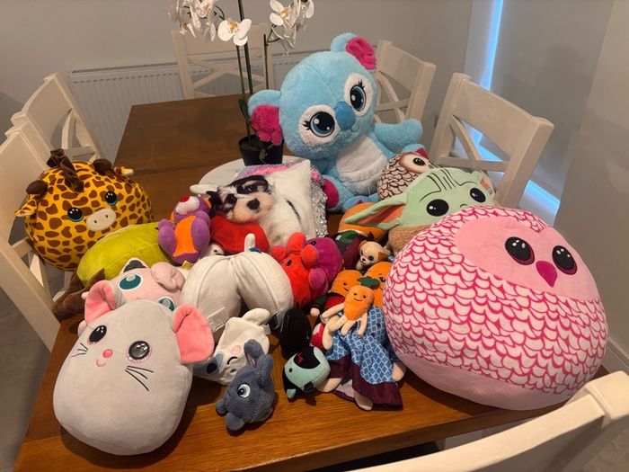 Squish teddy's and other teddys