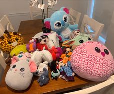 Squish teddy's and other teddys