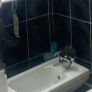 Vintage Cesame Bidet Image 2