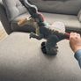 t-rex Image 2