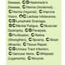 Essential Oil - Lemongrass 2ml Image 5