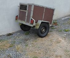 Dog trailer