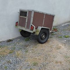 Dog trailer