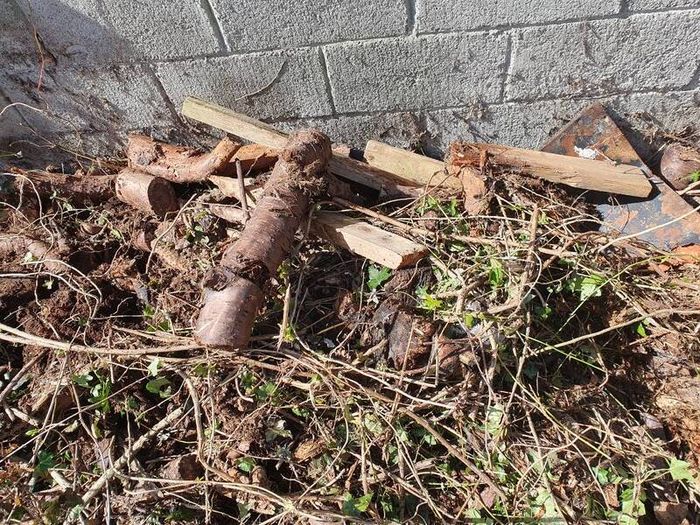 Fire Wood logs