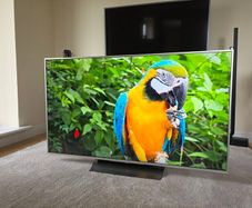 Sony 55' Smart TV