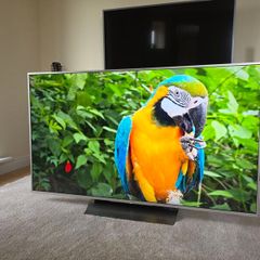Sony 55' Smart TV
