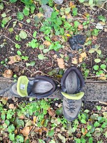Meindl Terlan GTX Hiking Boots