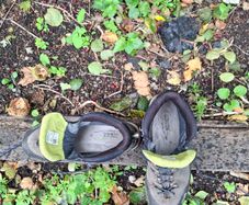 Meindl Terlan GTX Hiking Boots