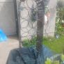 wine rack Image 5
