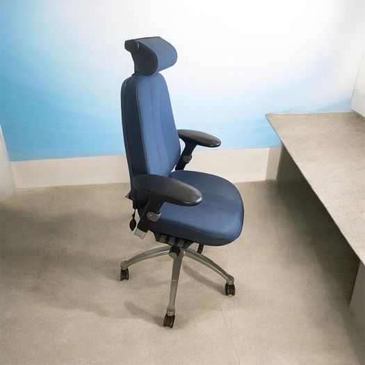 Ergonomic chair with fantastic back support