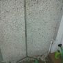 Bosch Lawn Raker / Scarifier Image 4