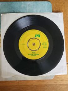Matthews Southern Comfort Woodstock Scion 7 inch
