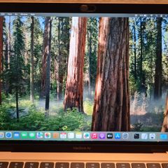 Apple MacBook Air 13 Retina 2020