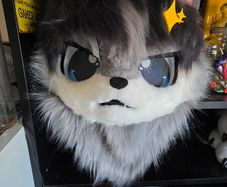 Fursuit Long Fur Husky Fox Mascot Head Party Halloween (Head + Claws)