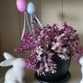 House plant. Image 6