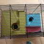 2-Level Small Animal Cage with Shelves & Accessories Image 2