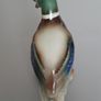 Mallard Duck Image 7