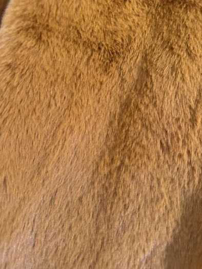 girls coat
