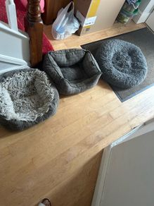 dog beds