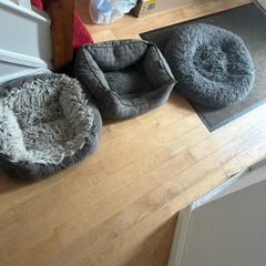 dog beds