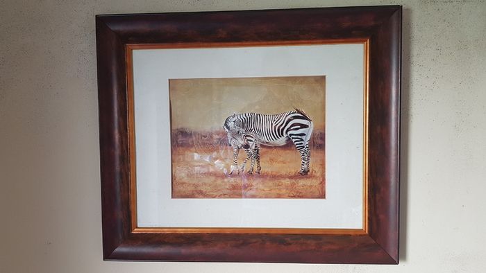 2 Piece Vanessa Jayne Large Wooden And Glass Framed Prints - Lion Family And Zebra Family