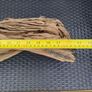 Driftwood Image 2