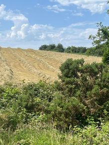 Haylage