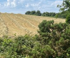 Haylage