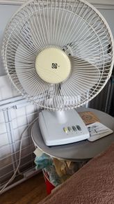 fan