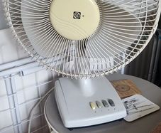 fan
