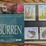 1993 Ireland Irish Orchids The Pine Marten Commemorative Stamps  Mint Never Hinged (MNH) Image 3