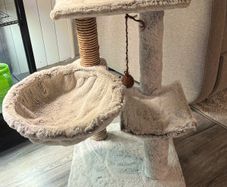 Pet Furniture