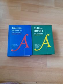 French and Irish dictionary