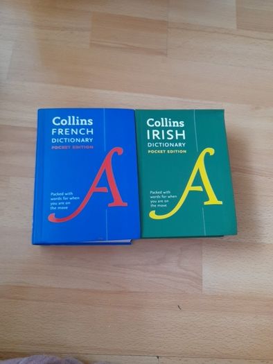 French and Irish dictionary