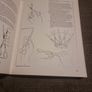 The principles and practice of hairdressing by Leo Palladino Image 3