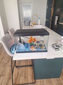 Small Fish Tank