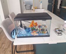 Small Fish Tank