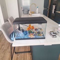 Small Fish Tank