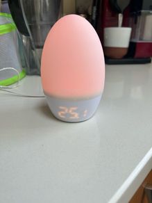 GroEgg