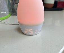 GroEgg