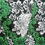Women's Lace Villa Dress Image 4