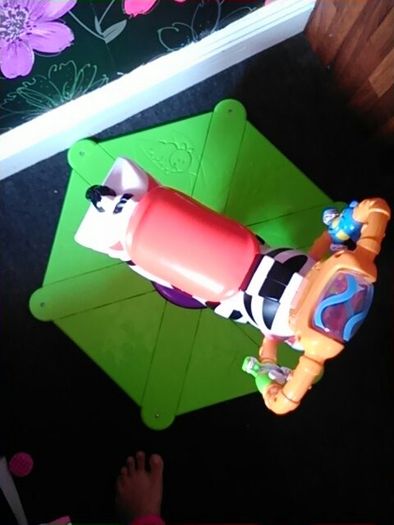 Zebra bouncer