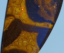 Australian Koroit Boulder Opal Pendant 11 ct on 925 Silver