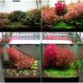 Neo Fluid No CO2 Complete Aquarium Fertilizer 1000ml Image 2