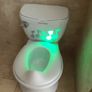 Summer realistic potty training Image 2