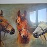 Trio of Racehorses Image 8