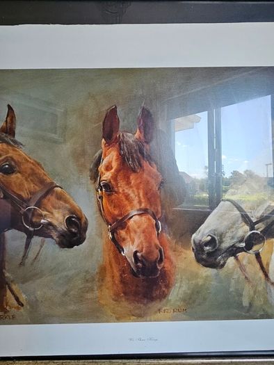 Trio of Racehorses