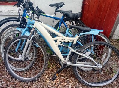 4 bikes, table saw, gokart, portable air compresso