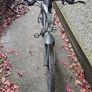 bike Image 4